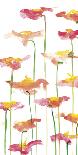 Floral Fantasy-Sarah Von Dreele-Giclee Print