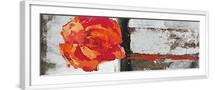 White Frame