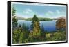 Saranac Lake, New York - Eagle Island and Lower Saranac Lake View-Lantern Press-Framed Stretched Canvas