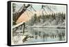 Saranac River, Adirondack Mountains, New York-null-Framed Stretched Canvas