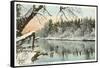 Saranac River, Adirondack Mountains, New York-null-Framed Stretched Canvas