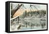 Saranac River, Adirondack Mountains, New York-null-Framed Stretched Canvas