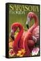 Sarasota, Florida - Flamingos-Lantern Press-Framed Stretched Canvas