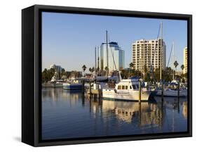 Sarasota, Gulf Coast, Florida, United States of America, North America-Jeremy Lightfoot-Framed Stretched Canvas
