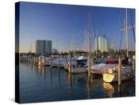 Sarasota Marina in the Evening, Florida, United States of America, North America-Tomlinson Ruth-Stretched Canvas