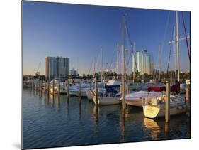 Sarasota Marina in the Evening, Florida, United States of America, North America-Tomlinson Ruth-Mounted Photographic Print