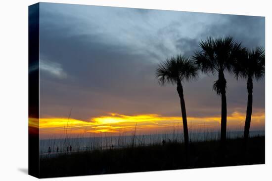 Sarasota, Sunset on the Crescent Beach, Siesta Key, Florida, USA-Bernard Friel-Stretched Canvas