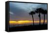 Sarasota, Sunset on the Crescent Beach, Siesta Key, Florida, USA-Bernard Friel-Framed Stretched Canvas