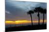 Sarasota, Sunset on the Crescent Beach, Siesta Key, Florida, USA-Bernard Friel-Mounted Photographic Print