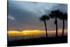 Sarasota, Sunset on the Crescent Beach, Siesta Key, Florida, USA-Bernard Friel-Stretched Canvas