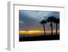 Sarasota, Sunset on the Crescent Beach, Siesta Key, Florida, USA-Bernard Friel-Framed Photographic Print