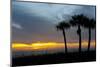 Sarasota, Sunset on the Crescent Beach, Siesta Key, Florida, USA-Bernard Friel-Mounted Photographic Print