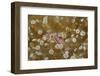 Sarasvati Anemone Shrimp Full of Eggs-Hal Beral-Framed Photographic Print