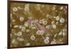 Sarasvati Anemone Shrimp Full of Eggs-Hal Beral-Framed Photographic Print