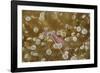 Sarasvati Anemone Shrimp Full of Eggs-Hal Beral-Framed Photographic Print