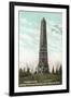 Saratoga Monument, Schuylerville-null-Framed Art Print