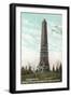 Saratoga Monument, Schuylerville-null-Framed Art Print