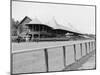Saratoga Springs, N.Y., Grand Stand, Race Track, C.1900-10-null-Mounted Photographic Print