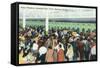 Saratoga Springs, New York - Crowds at Race Track Ticket Windows-Lantern Press-Framed Stretched Canvas