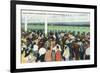 Saratoga Springs, New York - Crowds at Race Track Ticket Windows-Lantern Press-Framed Art Print