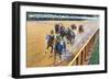 Saratoga Springs, New York - Home Stretch on the Track-Lantern Press-Framed Art Print