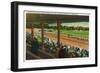 Saratoga Springs, New York - Horses Going to the Post at Race Track-Lantern Press-Framed Art Print