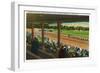 Saratoga Springs, New York - Horses Going to the Post at Race Track-Lantern Press-Framed Art Print