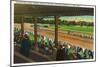 Saratoga Springs, New York - Horses Going to the Post at Race Track-Lantern Press-Mounted Art Print