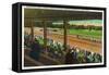 Saratoga Springs, New York - Horses Going to the Post at Race Track-Lantern Press-Framed Stretched Canvas