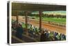 Saratoga Springs, New York - Horses Going to the Post at Race Track-Lantern Press-Stretched Canvas