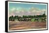 Saratoga Springs, New York - Jockeys Finishing Horse Race at Race Track-Lantern Press-Framed Stretched Canvas