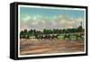 Saratoga Springs, New York - Jockeys Finishing Horse Race at Race Track-Lantern Press-Framed Stretched Canvas