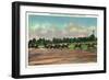 Saratoga Springs, New York - Jockeys Finishing Horse Race at Race Track-Lantern Press-Framed Art Print