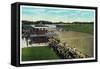 Saratoga Springs, New York - View of a Close Finish at the Horse Race Track, c.1914-Lantern Press-Framed Stretched Canvas