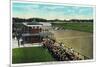 Saratoga Springs, New York - View of a Close Finish at the Horse Race Track, c.1914-Lantern Press-Mounted Art Print