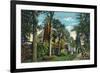 Saratoga Springs, New York - View of Inniscarra, Olcott Residence-Lantern Press-Framed Premium Giclee Print