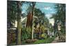 Saratoga Springs, New York - View of Inniscarra, Olcott Residence-Lantern Press-Mounted Art Print