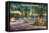 Saratoga Springs, New York - View of Saratoga Lake-Lantern Press-Framed Stretched Canvas