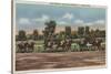 Saratoga Springs, NY - Horse Race Track Scene-Lantern Press-Stretched Canvas