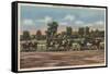 Saratoga Springs, NY - Horse Race Track Scene-Lantern Press-Framed Stretched Canvas