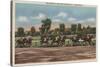 Saratoga Springs, NY - Horse Race Track Scene-Lantern Press-Stretched Canvas