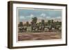 Saratoga Springs, NY - Horse Race Track Scene-Lantern Press-Framed Art Print