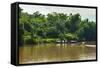 Sarawak River (Sungai Sarawak), Kuching, Sarawak, Malaysian Borneo, Malaysia, Southeast Asia, Asia-Nico Tondini-Framed Stretched Canvas