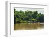 Sarawak River (Sungai Sarawak), Kuching, Sarawak, Malaysian Borneo, Malaysia, Southeast Asia, Asia-Nico Tondini-Framed Photographic Print