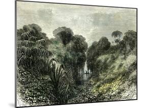 Sarayacu River Peru 1869-null-Mounted Giclee Print