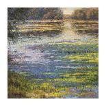 Pond at Dusk-Sarback-Framed Giclee Print