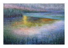 Sunlit Pond 1-Sarback-Giclee Print