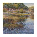 Pond at Dawn-Sarback-Giclee Print