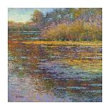 Summer Pond-Sarback-Framed Giclee Print