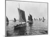 Sardine Boats of Concarneau (Photo)-French Photographer-Mounted Giclee Print